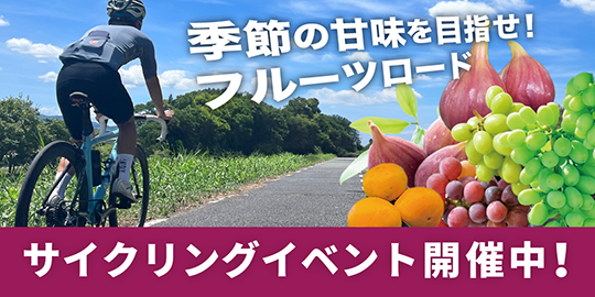 南河内フルーツロードサイクリングマップ